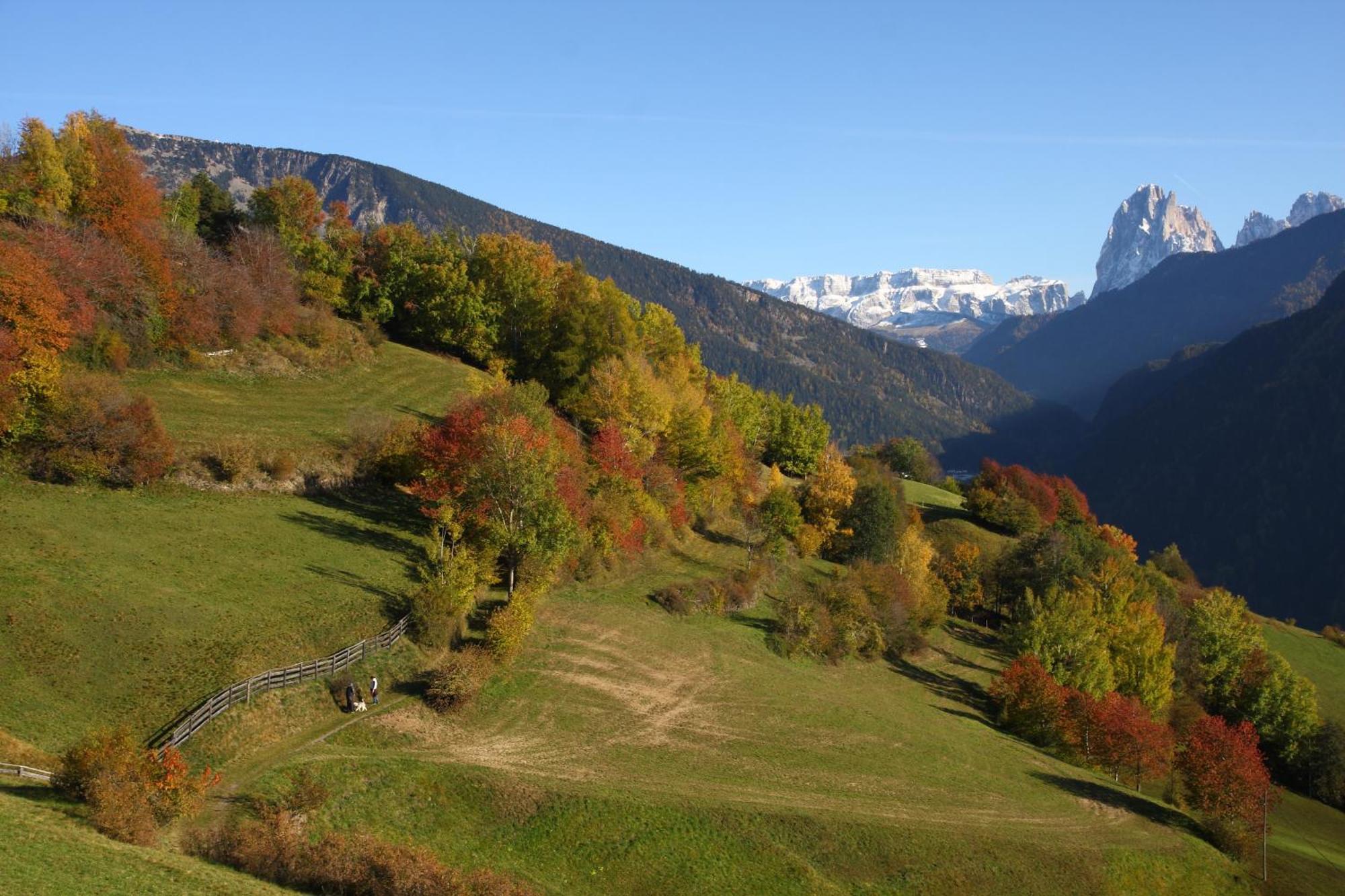 الشقق الفندقية لايونفي  Paderlafoderhof المظهر الخارجي الصورة